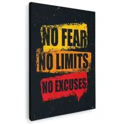 Tablou afis No Fear No Limits No Excuses 4408