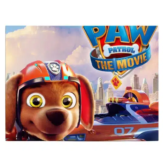 Tablou afis Paw Patrol desene animate 2228 front - Afis Poster Tablou afis Paw Patrol desene animate pentru living casa birou bucatarie livrare in 24 ore la cel mai bun pret.