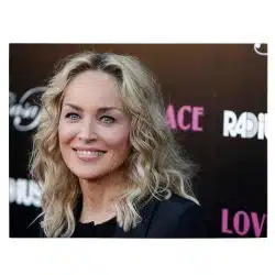 Tablou afis Sharon Stone actrita 2419 front - Afis Poster Tablou afis Sharon Stone actrita pentru living casa birou bucatarie livrare in 24 ore la cel mai bun pret.