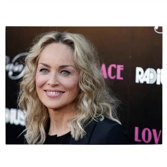 Tablou afis Sharon Stone actrita 2419 front - Afis Poster Tablou afis Sharon Stone actrita pentru living casa birou bucatarie livrare in 24 ore la cel mai bun pret.