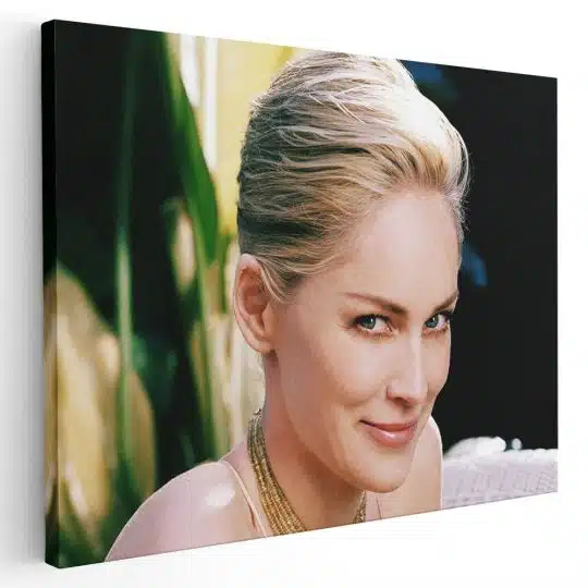 Tablou afis Sharon Stone actrita 2421 - Afis Poster Tablou afis Sharon Stone actrita pentru living casa birou bucatarie livrare in 24 ore la cel mai bun pret.