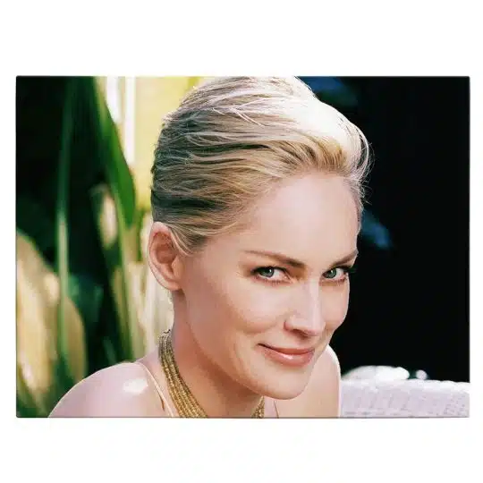 Tablou afis Sharon Stone actrita 2421 front - Afis Poster Tablou afis Sharon Stone actrita pentru living casa birou bucatarie livrare in 24 ore la cel mai bun pret.