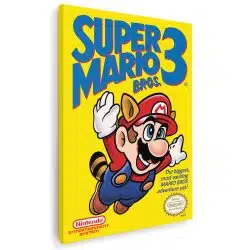 Tablou afis Super Mario Bros 3632