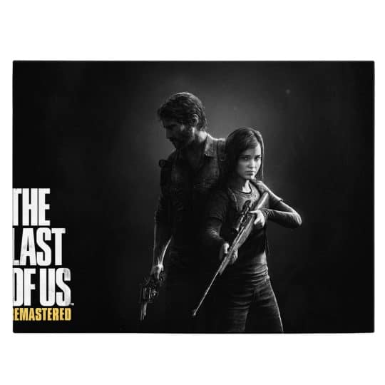 Tablou afis The Last of Us 3525 front