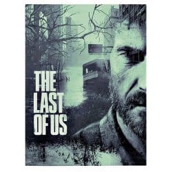 Tablou afis The Last of Us 3662 front