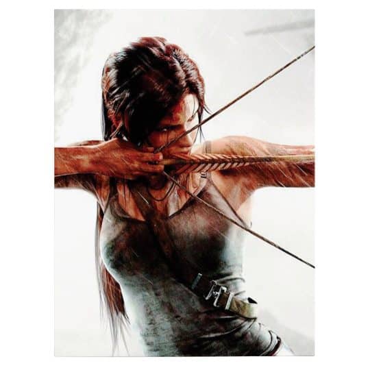 Tablou afis Tomb Raider 3676 front