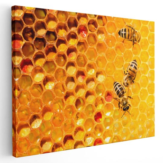 Tablou albine pe fagure in stupina galben 1906 - Afis Poster Tablou albine pe fagure in stupina galben pentru living casa birou bucatarie livrare in 24 ore la cel mai bun pret.