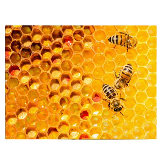 Tablou albine pe fagure in stupina galben 1906 front - Afis Poster Tablou albine pe fagure in stupina galben pentru living casa birou bucatarie livrare in 24 ore la cel mai bun pret.