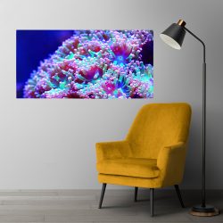 Tablou anemone de mare corali albastru roz 1868 tablou receptie - Afis Poster Tablou anemone de mare corali albastru roz pentru living casa birou bucatarie livrare in 24 ore la cel mai bun pret.