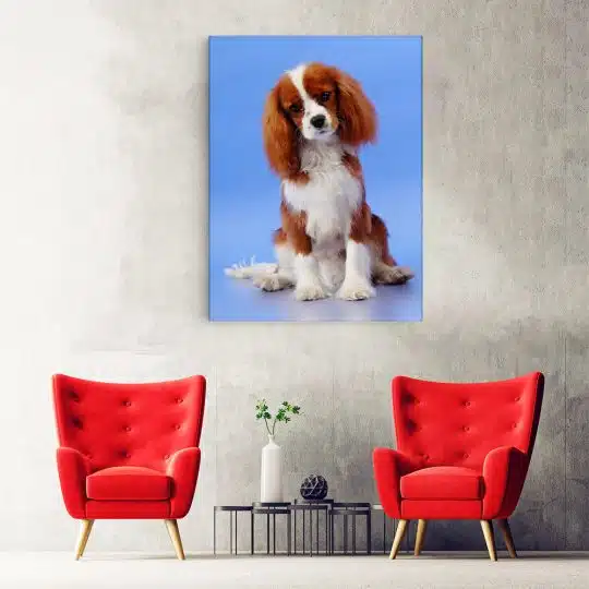 Tablou caine Cavalier King Charles Spaniel 4151 hol