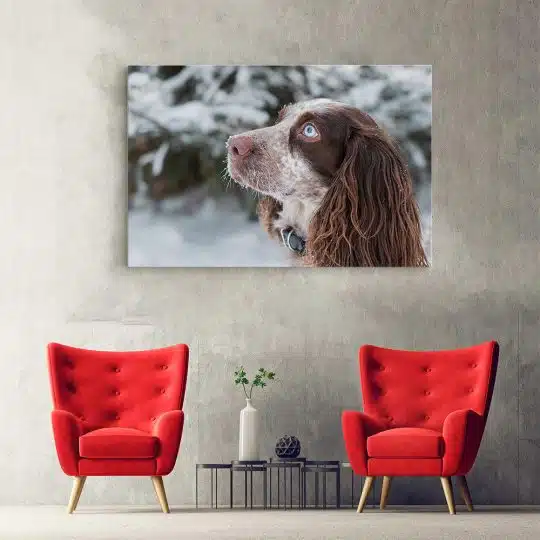 Tablou caine Cocker Spaniel 4181 hol