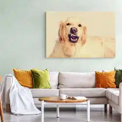 Tablou caine Golden Retriever 4174 living 1