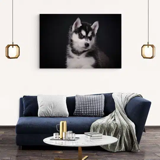 Tablou caine Husky siberian 3254 living modern 2