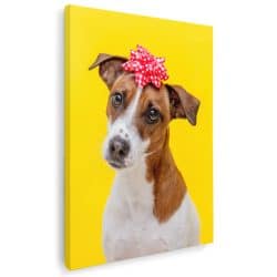 Tablou caine Jack Russell Terrier cu funda 4145