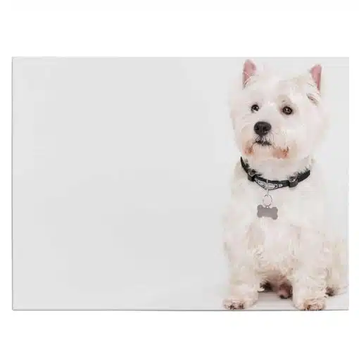 Tablou caine West Highland White Terrier 4169 front