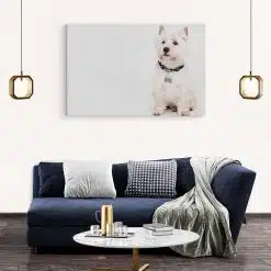 Tablou caine West Highland White Terrier 4169 living modern 2