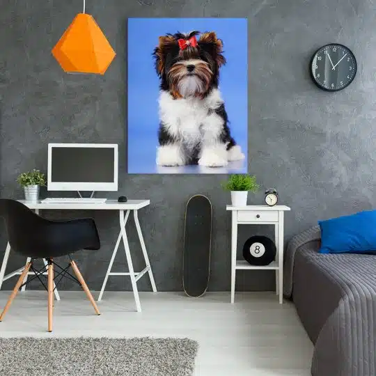 Tablou caine Yorkshire Terrier cu fundita 4149 camera tineret