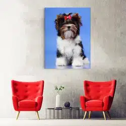 Tablou caine Yorkshire Terrier cu fundita 4149 hol