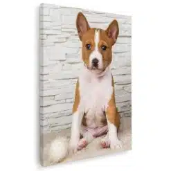 Tablou caine rasa Basenji 4159