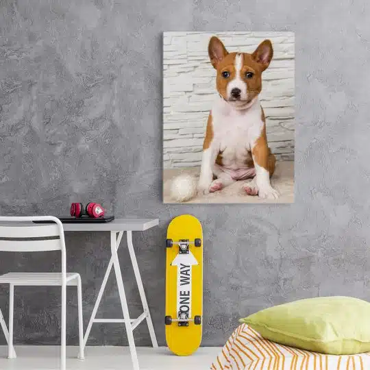 Tablou caine rasa Basenji 4159 camera adolescent