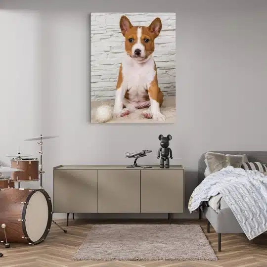 Tablou caine rasa Basenji 4159 camera moderna adolescent