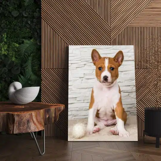 Tablou caine rasa Basenji 4159 living