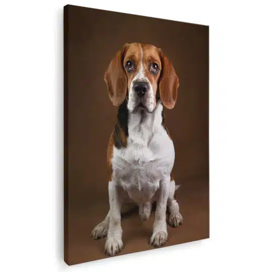 Tablou caine rasa Beagle 4157