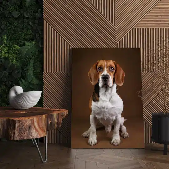 Tablou caine rasa Beagle 4157 living