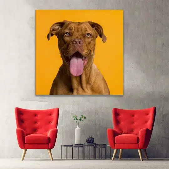 Tablou caine rasa Dog de Bordeaux 4259 hol