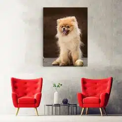 Tablou caine rasa Pomeranian 4156 hol