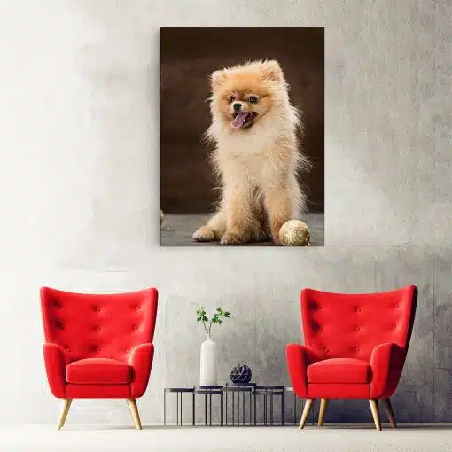 Tablou caine rasa Pomeranian 4156 hol