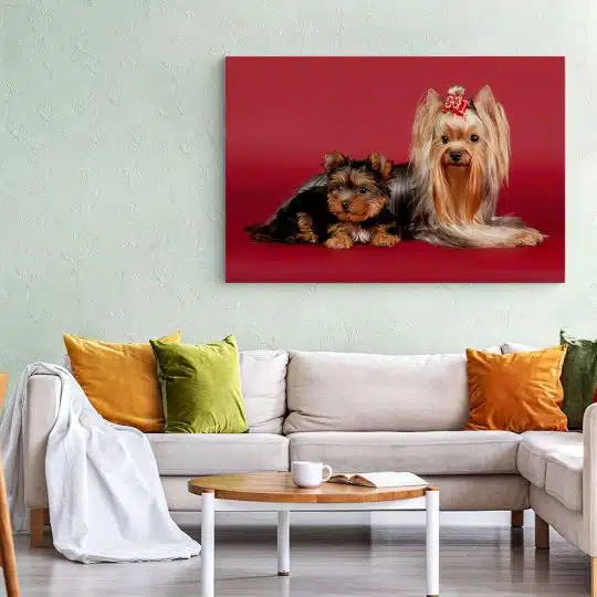 Tablou caini Yorkshire Terrier 4185 living 1