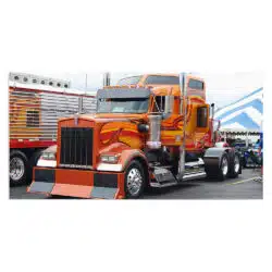 Tablou camion Kenworth W900 4565 front