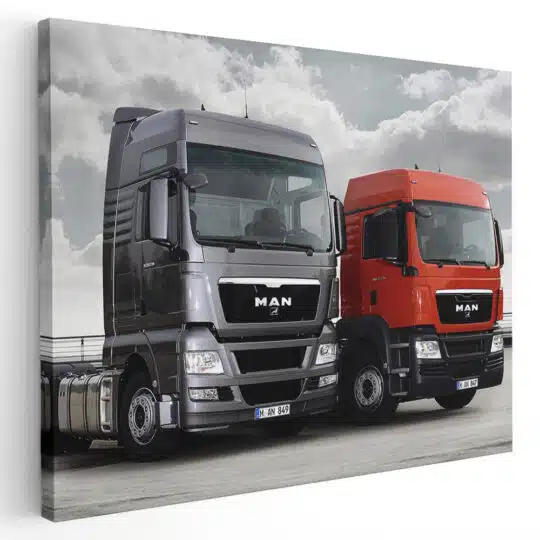 Tablou camion MAN TGX 4563