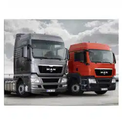 Tablou camion MAN TGX 4563 front