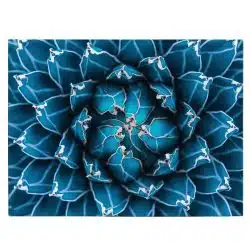 Tablou canvas agave cactus detaliu albastru 1380 front - Afis Poster Tablou cu cactus agave detaliu albastru pentru living casa birou bucatarie livrare in 24 ore la cel mai bun pret.