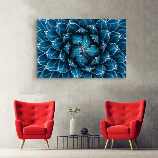 Tablou canvas agave cactus detaliu albastru 1380 hol - Afis Poster Tablou cu cactus agave detaliu albastru pentru living casa birou bucatarie livrare in 24 ore la cel mai bun pret.