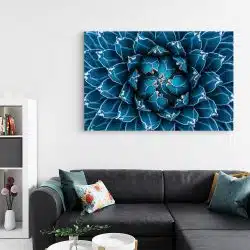 Tablou canvas agave cactus detaliu albastru 1380 living - Afis Poster Tablou cu cactus agave detaliu albastru pentru living casa birou bucatarie livrare in 24 ore la cel mai bun pret.