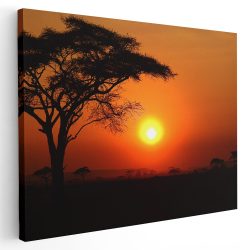 Tablou canvas apus in Serengeti Tanzania portocaliu negru 1189 - Afis Poster apus in savana Tanzania portocaliu negru pentru living casa birou bucatarie livrare in 24 ore la cel mai bun pret.