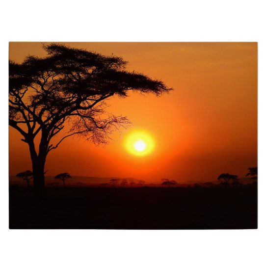 Tablou canvas apus in Serengeti Tanzania portocaliu negru 1189 front - Afis Poster apus in savana Tanzania portocaliu negru pentru living casa birou bucatarie livrare in 24 ore la cel mai bun pret.
