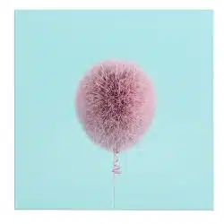 Tablou canvas balon creat din blana roz 1337 frontal - Afis Poster balon creat din blana roz pentru living casa birou bucatarie livrare in 24 ore la cel mai bun pret.