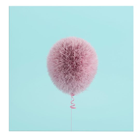 Tablou canvas balon creat din blana roz 1337 frontal - Afis Poster balon creat din blana roz pentru living casa birou bucatarie livrare in 24 ore la cel mai bun pret.
