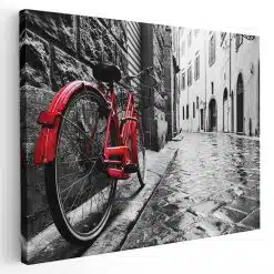 Tablou canvas bicicleta retro langa perete rosu negru 1187 - Afis Poster bicicleta retro langa perete rosu negru pentru living casa birou bucatarie livrare in 24 ore la cel mai bun pret.