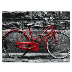 Tablou canvas bicicleta vintage langa perete rosu negru 1186 front - Afis Poster bicicleta vintage langa perete rosu negru pentru living casa birou bucatarie livrare in 24 ore la cel mai bun pret.