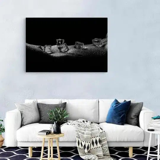 Tablou canvas cuburi gheata pe nud femeie alb negru 1143 living modern - Afis Poster nud femeie solduri gheata alb negru pentru living casa birou bucatarie livrare in 24 ore la cel mai bun pret.