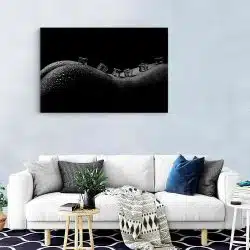 Tablou canvas cuburi gheata pe nud femeie alb negru 1145 living modern - Afis Poster nud femeie solduri fese cuburi de gheata alb negru pentru living casa birou bucatarie livrare in 24 ore la cel mai bun pret.