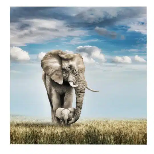 Tablou canvas mama elefant cu pui maro albastru 1293 frontal - Afis Poster mama elefant cu pui maro albastru pentru living casa birou bucatarie livrare in 24 ore la cel mai bun pret.