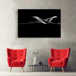 Tablou canvas nud femeie alb negru 1148 hol - Afis Poster nud femeie alb negru pentru living casa birou bucatarie livrare in 24 ore la cel mai bun pret.