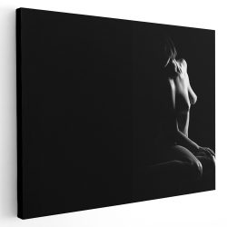 Tablou canvas nud femeie in intuneric alb negru 1230 - Afis Poster nud femeie pentru living casa birou bucatarie livrare in 24 ore la cel mai bun pret.
