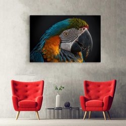 Tablou canvas papagal ara albastru portocaliu verde 1118 hol - Afis Poster pasare papagal ara albastru portocaliu verde pentru living casa birou bucatarie livrare in 24 ore la cel mai bun pret.